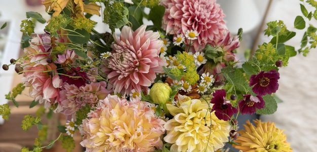 lucy gray flowers